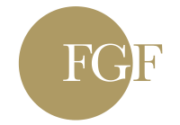 Logo FGF Consulting